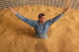 Carreira: salários no agro podem chegar a R$ 200 mil