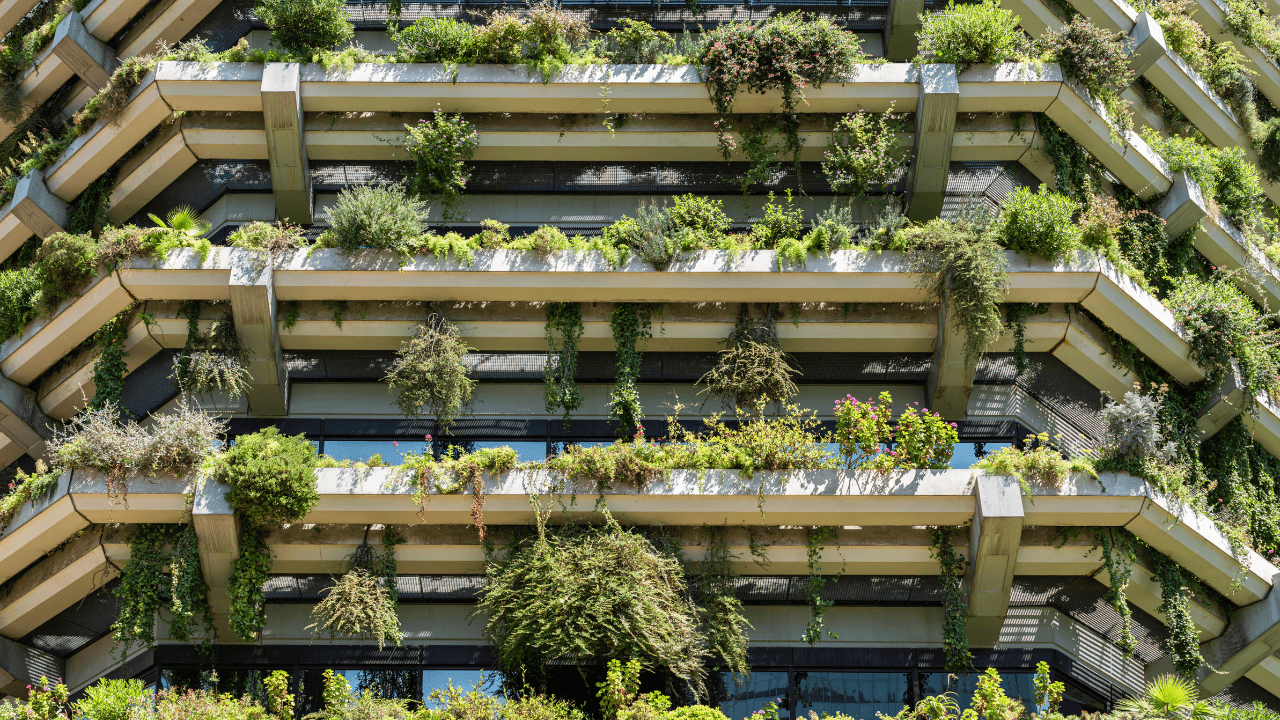 A influência do profissional de facility na arquitetura sustentável