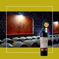 Vinhos Mexicanos