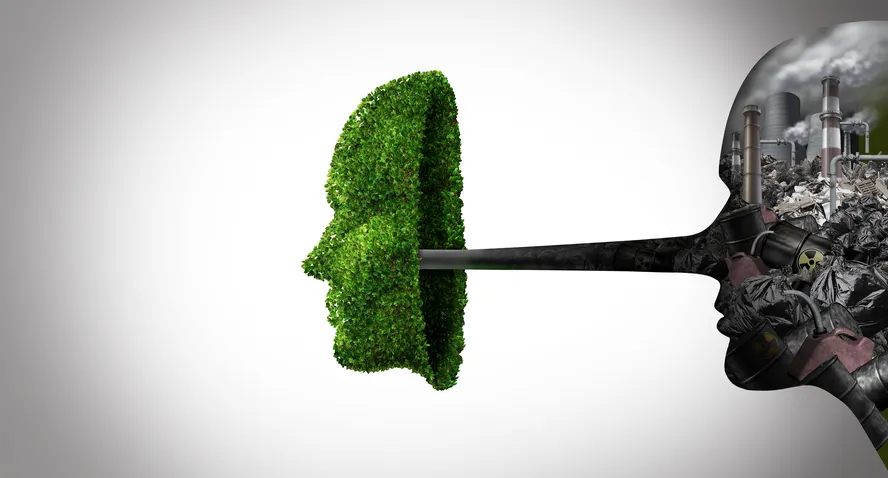 Greenwashing: a maquiagem da empresa politicamente correta