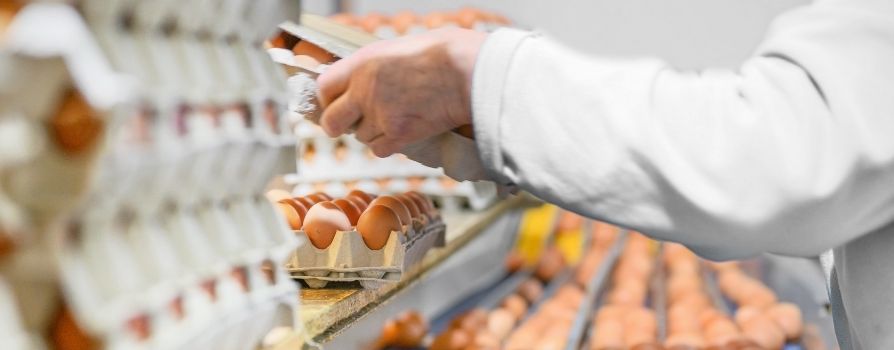 Produção de alimentos deve crescer cerca de 70% até 2050