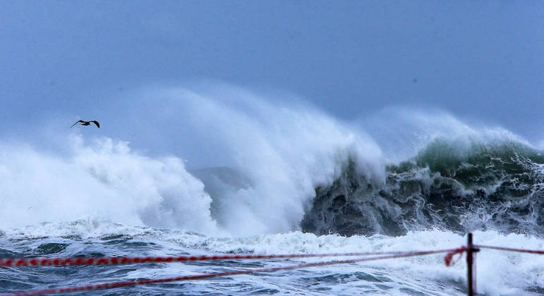Do Tsunami ao Brasil - Do Banco à Importação