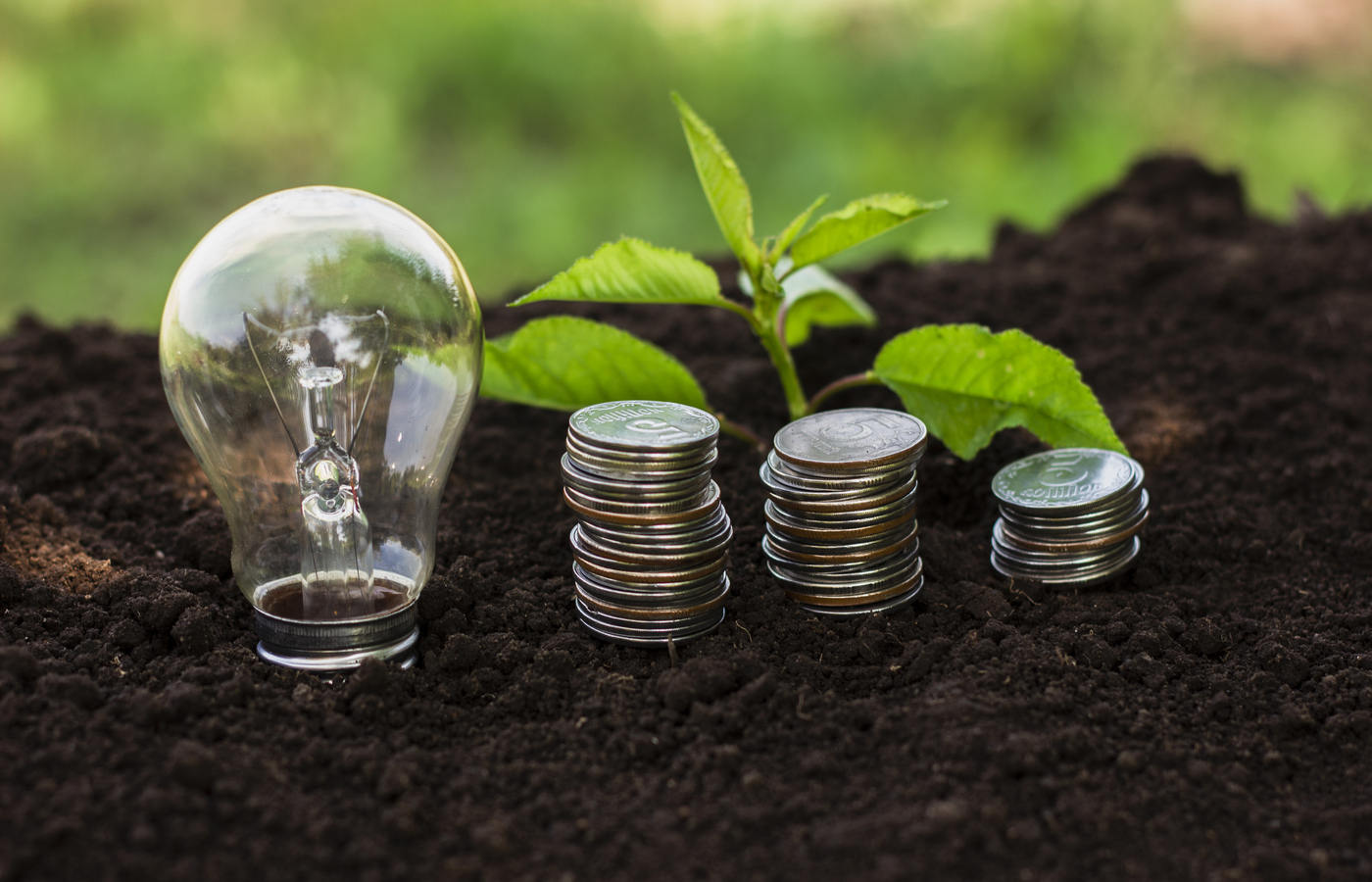 Mercado de carbono pode gerar US$ 120 bilhões para o Brasil até 2030