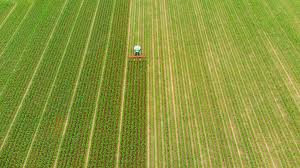 Com foco em tecnologia e bem-estar social, agronegócio brasileiro consegue crescer e superar crises econômicas