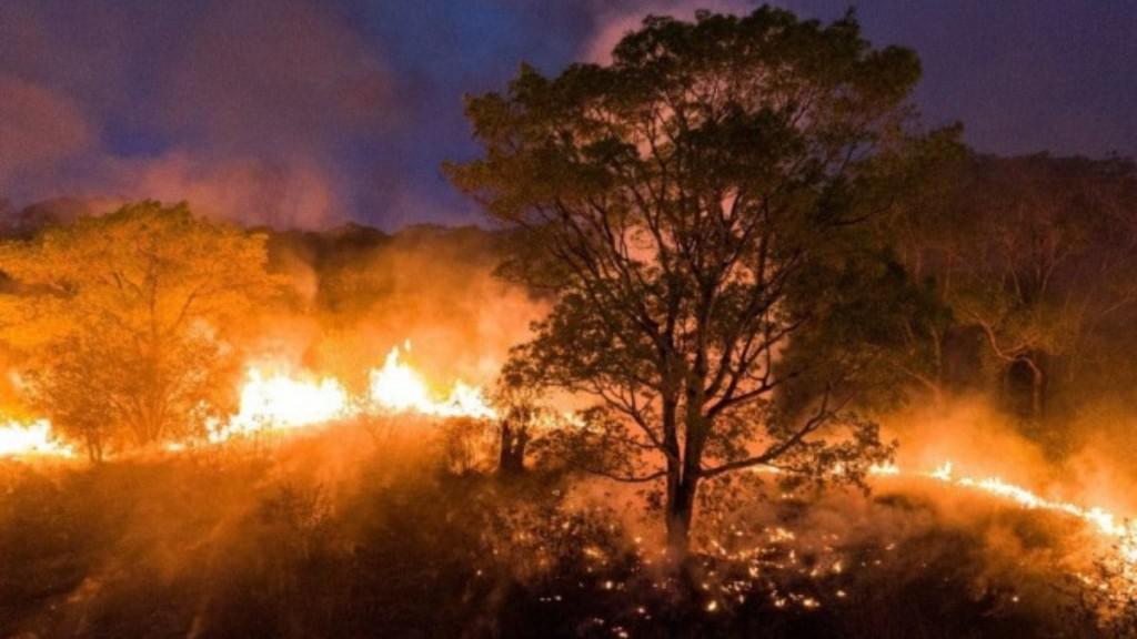 Maior seca da história do Brasil afeta quase 1.500 cidades no país